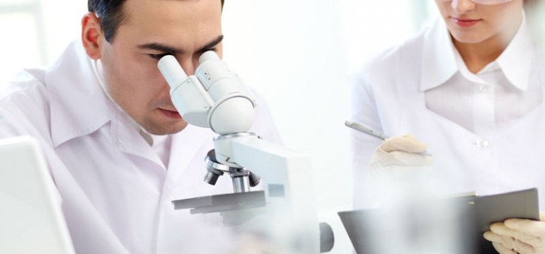 TARCZYCA I JEJ HORMONY