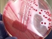 Przygotowanie do badań