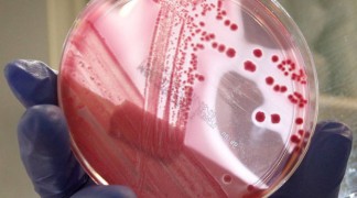 Przygotowanie do badań